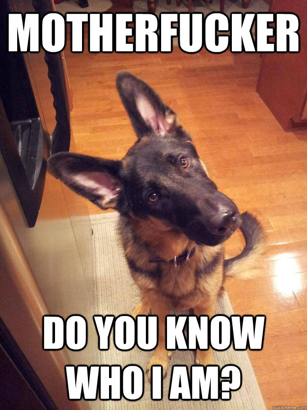 Motherfucker Do you know who I am?  Bad Ass Dog