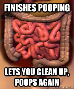 Finishes pooping lets you clean up, poops again   Scumbag Bowels
