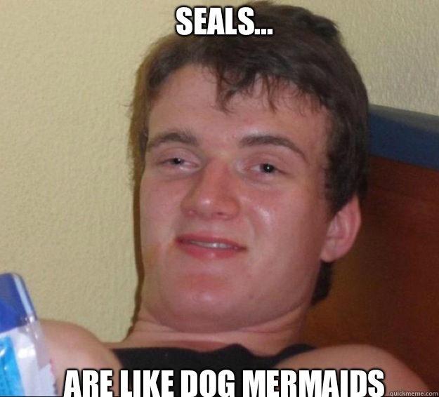 Seals... are like dog mermaids  10guy