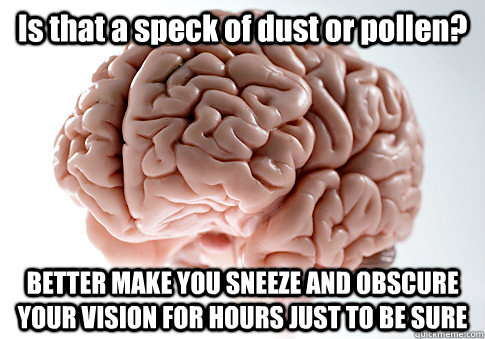Is that a speck of dust or pollen? BETTER MAKE YOU SNEEZE AND OBSCURE YOUR VISION FOR HOURS JUST TO BE SURE  Scumbag Brain