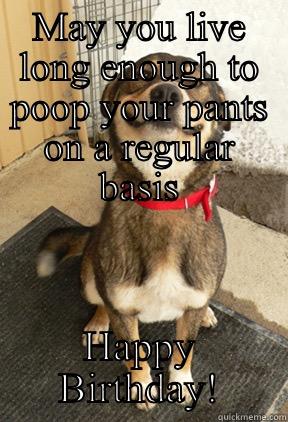 MAY YOU LIVE LONG ENOUGH TO POOP YOUR PANTS ON A REGULAR BASIS HAPPY BIRTHDAY! Good Dog Greg
