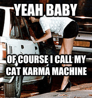 Yeah baby Of course i call my cat karma machine  Karma Whore