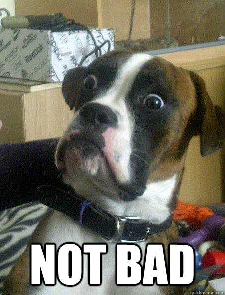  not bad  Baffled boxer