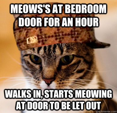 Scumbag Cat Memes Quickmeme