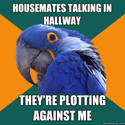 HOUSEMATES TALKING IN HALLWAY THEY'RE PLOTTING AGAINST ME  Paranoid Parrot