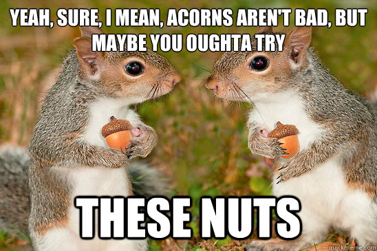 Yeah, sure, I mean, acorns aren't bad, but maybe you oughta try These nuts - Yeah, sure, I mean, acorns aren't bad, but maybe you oughta try These nuts  Misc