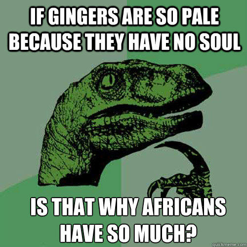 If gingers are so pale because they have no soul Is that why africans have so much?  Philosoraptor