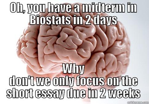 OH, YOU HAVE A MIDTERM IN BIOSTATS IN 2 DAYS WHY DON'T WE ONLY FOCUS ON THE SHORT ESSAY DUE IN 2 WEEKS Scumbag Brain