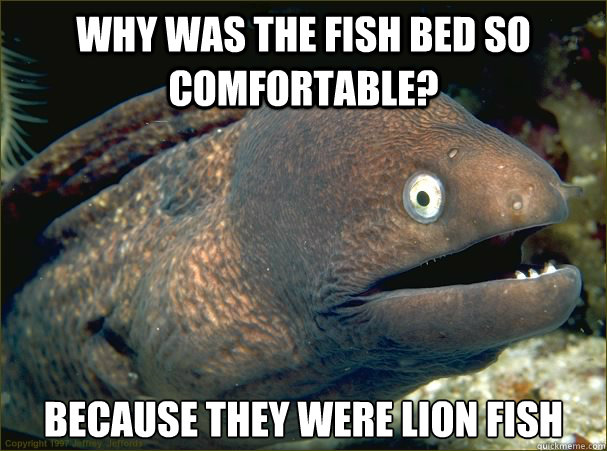 Why was the fish bed so comfortable? Because they were lion fish  Bad Joke Eel