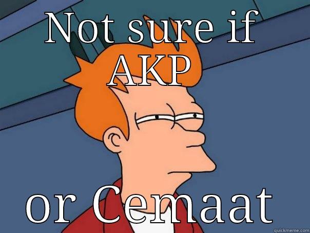 NOT SURE IF AKP OR CEMAAT Futurama Fry