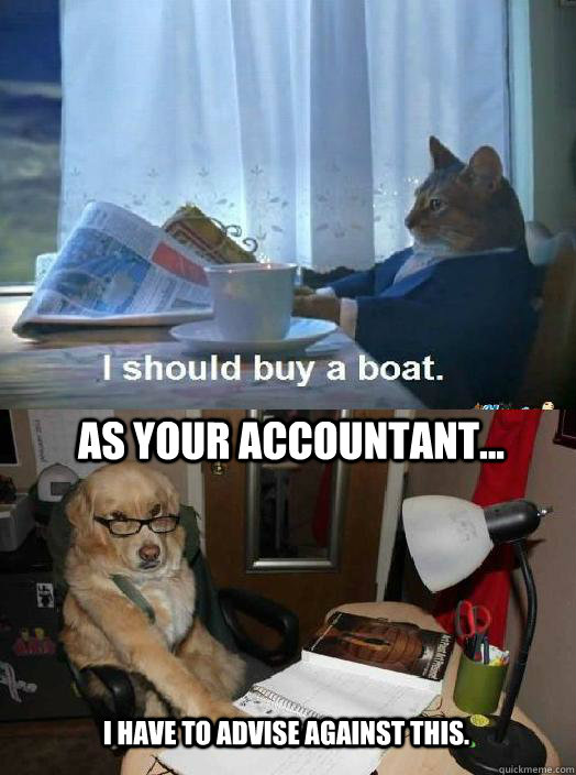 As your accountant... I have to advise against this.  sophisticated cat and accountant dog