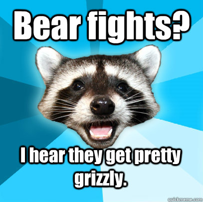 Bear fights? I hear they get pretty grizzly.  Lame Pun Coon