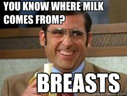 you know where milk comes from? Breasts  The office