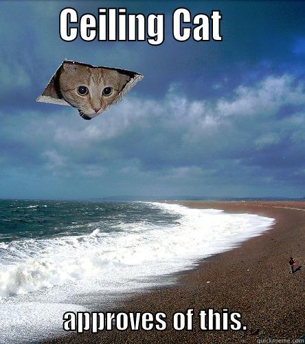 Ceiling cat approves beach -        CEILING CAT                                                                      APPROVES OF THIS.            Misc
