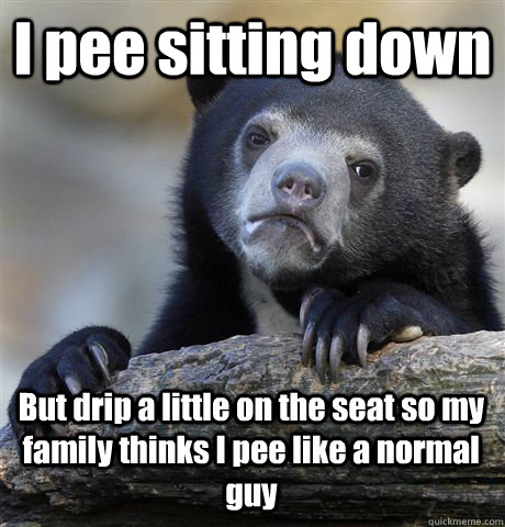 I pee sitting down But drip a little on the seat so my family thinks I pee like a normal guy  Confession Bear