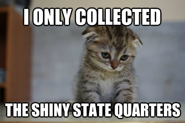 I only collected THE SHINY STATE QUARTERS - I only collected THE SHINY STATE QUARTERS  Sad Kitten