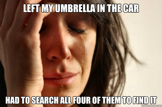 Left my umbrella in the car Had to search all four of them to find it  First World Problems