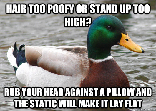 Hair too poofy or stand up too high? rub your head against a pillow and the static will make it lay flat  Actual Advice Mallard