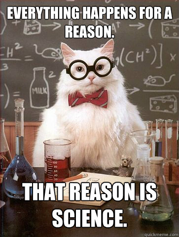 Everything happens for a reason.

 That reason is science. - Everything happens for a reason.

 That reason is science.  Science Cat