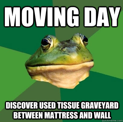 moving day discover used tissue graveyard between mattress and wall  Foul Bachelor Frog