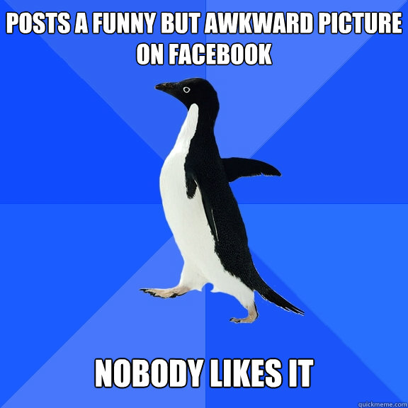 Posts a funny but awkward picture on facebook   nobody likes it  Socially Awkward Penguin