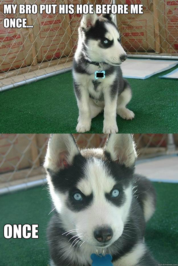 My bro put his hoe before me once... once  Insanity puppy