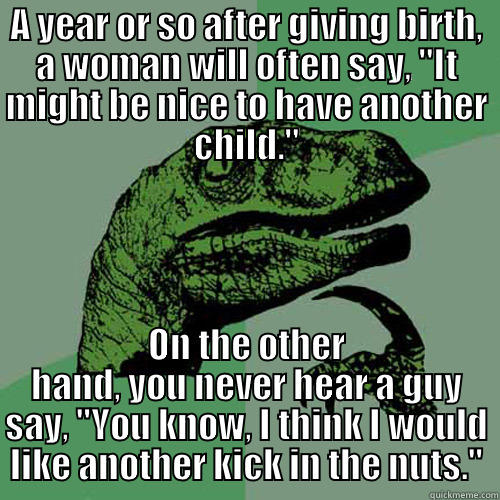 Getting kicked in the nuts is more painful then giving birth - A YEAR OR SO AFTER GIVING BIRTH, A WOMAN WILL OFTEN SAY, 