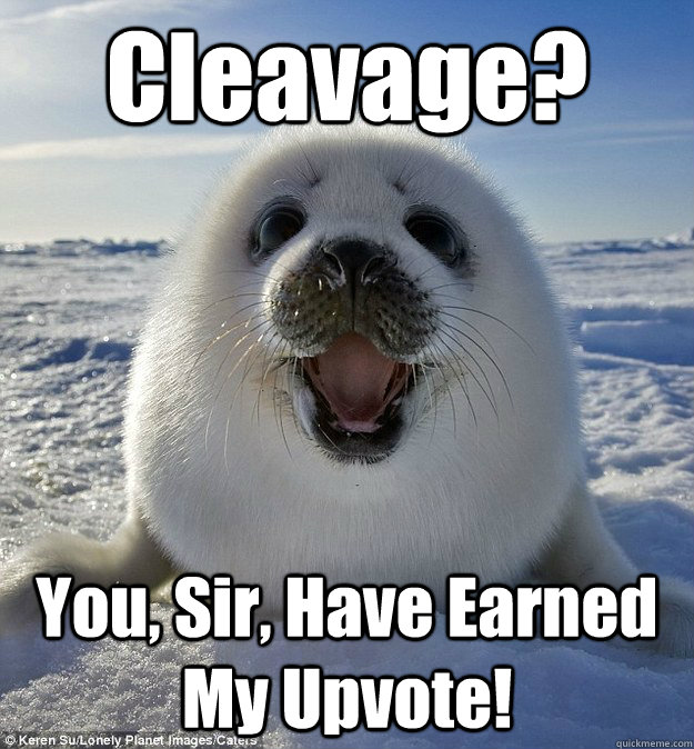 Cleavage? You, Sir, Have Earned My Upvote!  Easily Pleased Seal