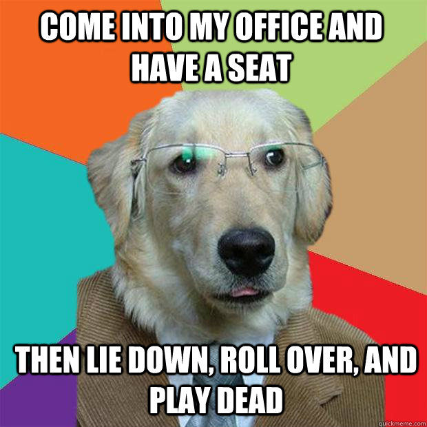 come into my office and have a seat then lie down, roll over, and play dead - come into my office and have a seat then lie down, roll over, and play dead  Business Dog