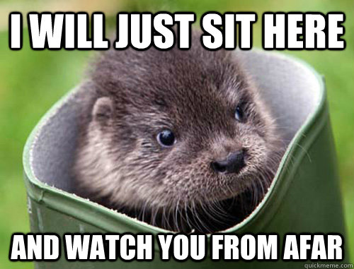 I will just sit here and watch you from afar - I will just sit here and watch you from afar  Creepy Cute Otter