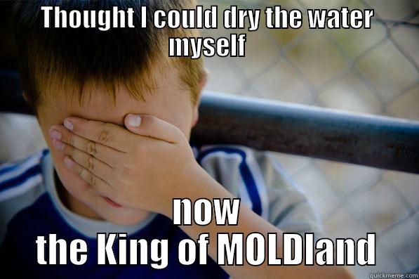 THOUGHT I COULD DRY THE WATER MYSELF NOW THE KING OF MOLDLAND Confession kid