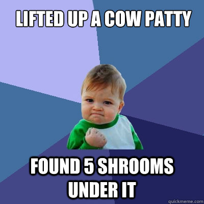lifted up a cow patty found 5 shrooms under it   Success Kid