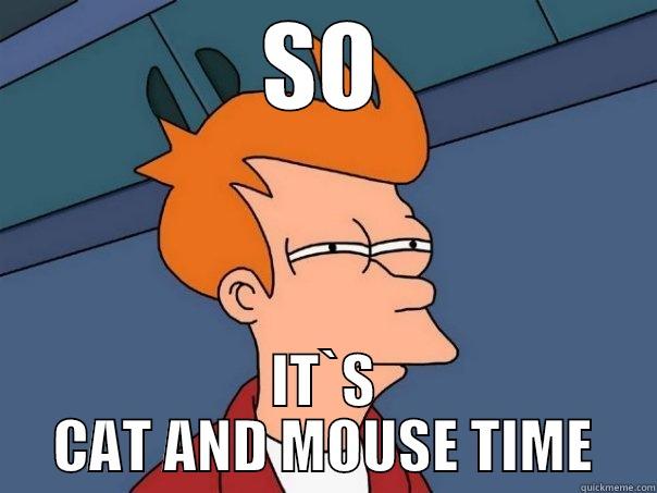SO IT`S CAT AND MOUSE TIME Futurama Fry