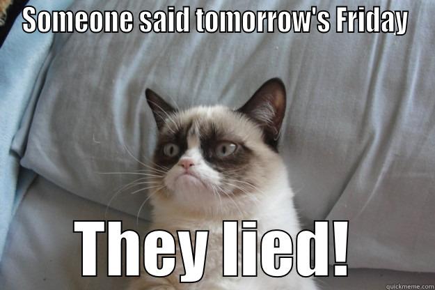 SOMEONE SAID TOMORROW'S FRIDAY THEY LIED! Grumpy Cat