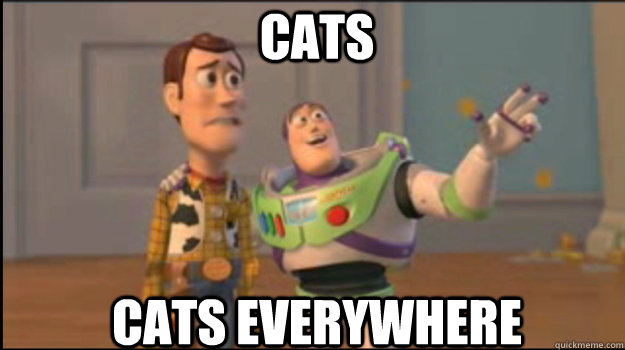 Cats Cats EVERYWHERE  Buzz and Woody