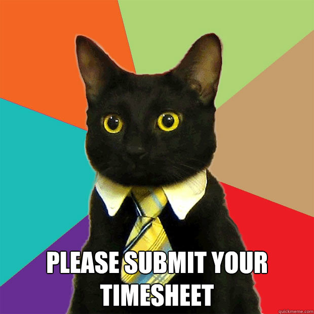  please submit your timesheet -  please submit your timesheet  Business Cat