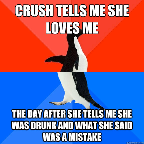crush tells me she loves me the day after she tells me she was drunk and what she said was a mistake  Socially Awesome Awkward Penguin