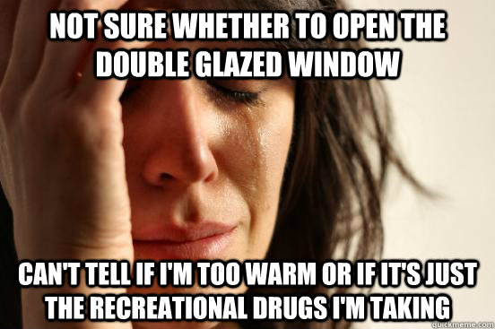 Not sure whether to open the double glazed window can't tell if I'm too warm or if it's just the recreational drugs I'm taking  First World Problems