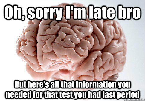 Oh, sorry I'm late bro But here's all that information you needed for that test you had last period   Scumbag Brain