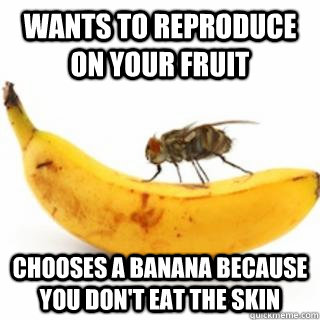 Wants to reproduce on your fruit Chooses a Banana because you don't eat the skin  Good Guy Fruit Fly