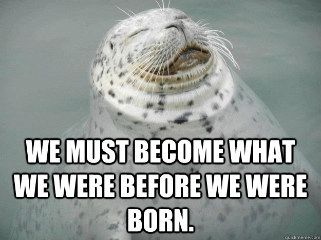 We must become what we were before we were born.  Zen Seal