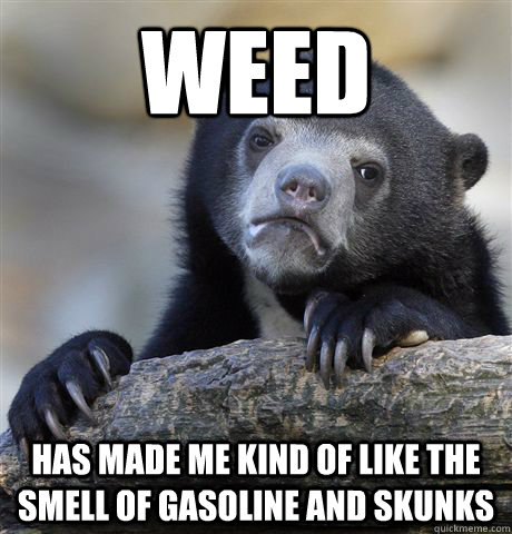 weed has made me kind of like the smell of gasoline and skunks  Confession Bear