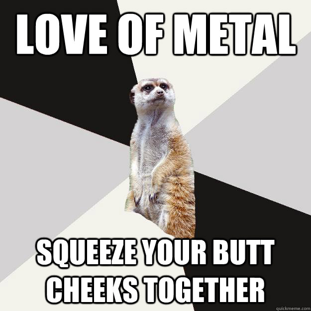 love of metal squeeze your butt cheeks together - love of metal squeeze your butt cheeks together  Musically inclined meercat