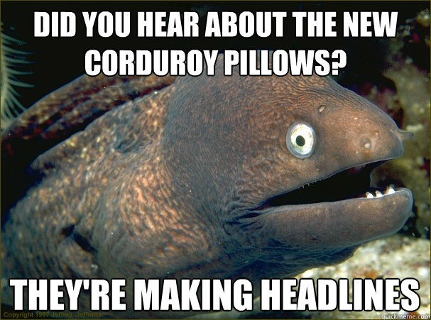 Did you hear about the new corduroy pillows? they're making headlines  Bad Joke Eel