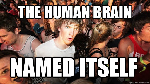 The human brain named itself  Sudden Clarity Clarence