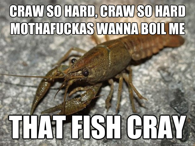 Craw so hard, craw so hard mothafuckas wanna boil me that fish cray  that fish cray