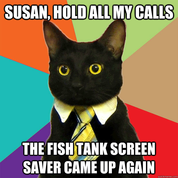 Susan, hold all my calls the fish tank screen saver came up again - Susan, hold all my calls the fish tank screen saver came up again  Business Cat