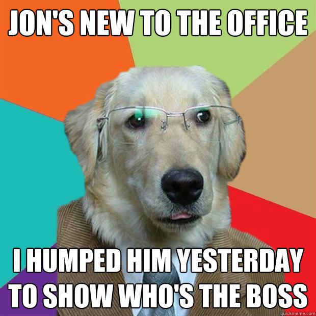 Jon's new to the office I humped him yesterday to show who's the boss  Business Dog