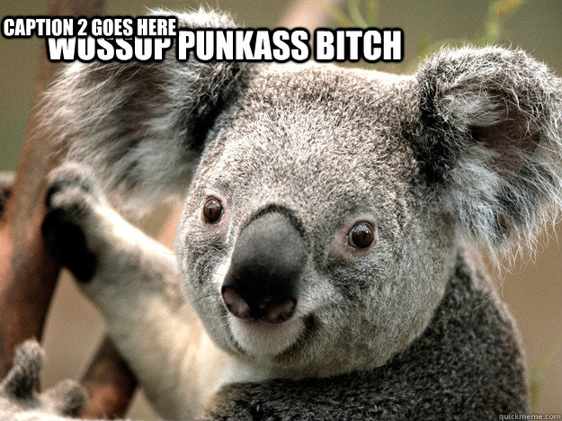 wussup punkass bitch Caption 2 goes here  Koala