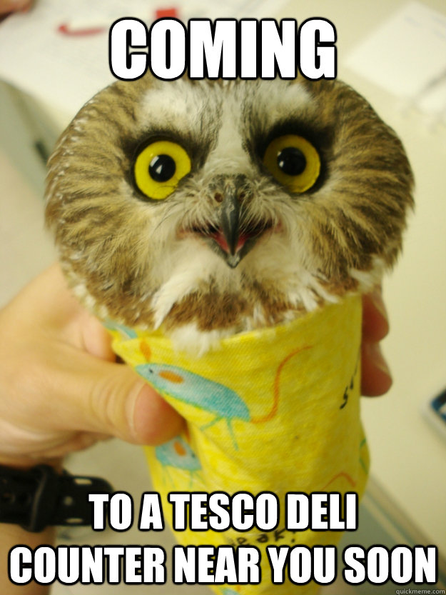 Coming To a Tesco Deli Counter near you soon - Coming To a Tesco Deli Counter near you soon  Owl Wrap
